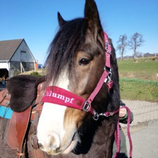 Fleecehalfter mit Bestickung und passendem Strick