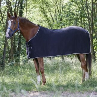 Abschwitzdecke Ridingworld