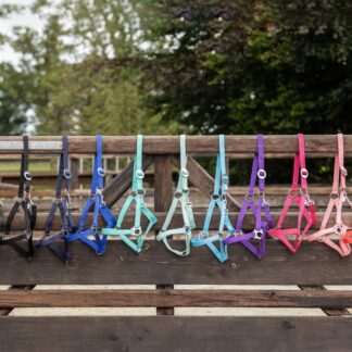 Halfter mit Schiebeschnalle