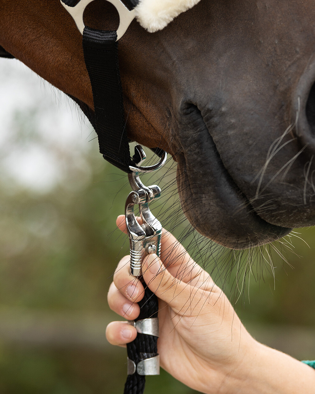 Anbindestrick mit Panikhaken – Bild 2