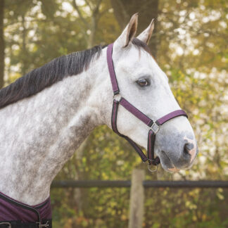 Halfter-Set mit Turnout Collection