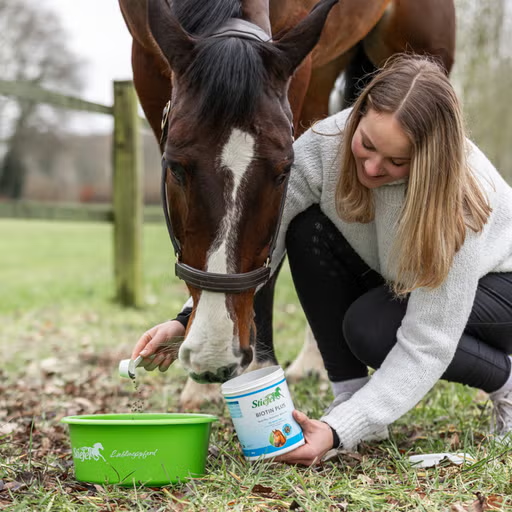 Biotin Plus Pellet, Stiefel 1 kg – Bild 2
