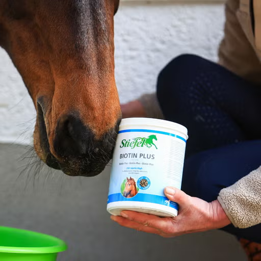 Biotin Plus Pellet, Stiefel 1 kg – Bild 4